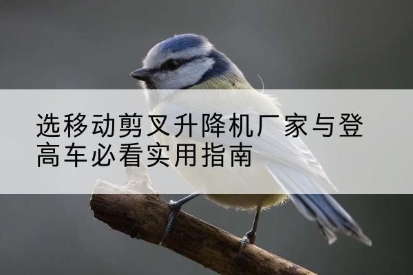 常宁电动升降机厂家-选移动剪叉升降机厂家与登高车必看实用指南