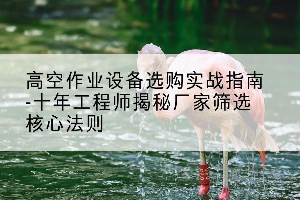 常宁剪叉式升降机厂家-高空作业设备选购实战指南-十年工程师揭秘厂家筛选核心法则