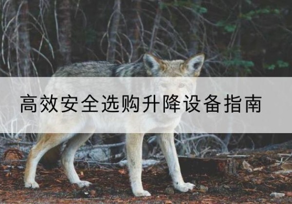 常宁升降货梯厂家推荐-*安全选购升降设备指南