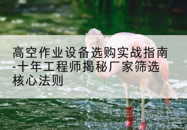 常宁剪叉式升降机厂家-高空作业设备选购实战指南-十年工程师揭秘厂家筛选核心法则